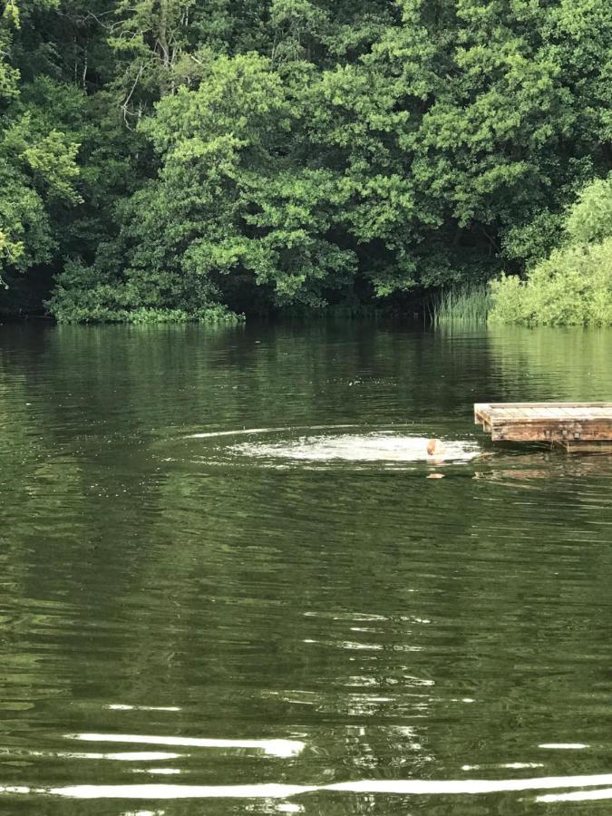 Oesterlen - Baestekille Backar Sankt Olof Zewnętrze zdjęcie